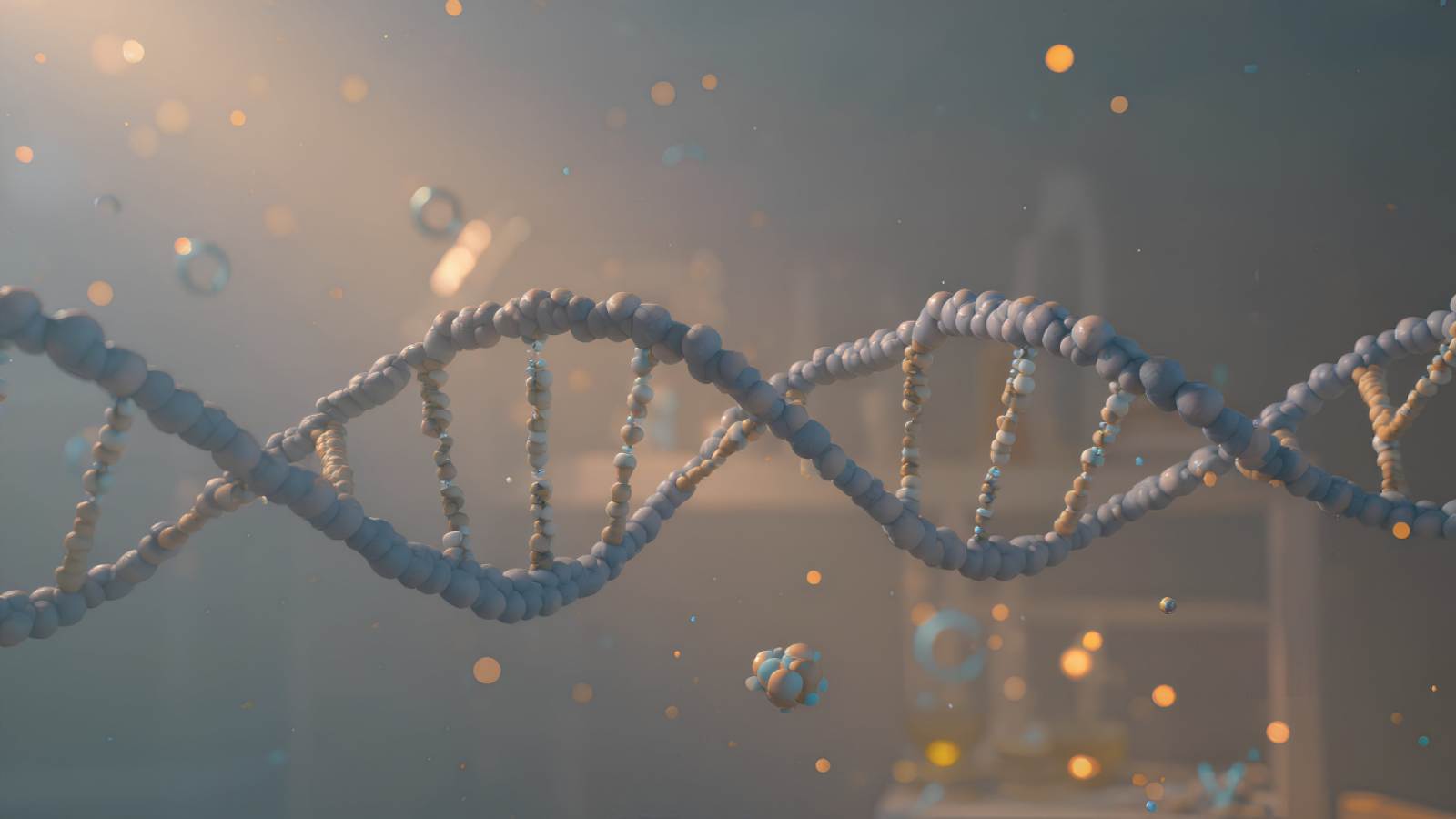 Loading of non-coding nucleic acids in exosomes