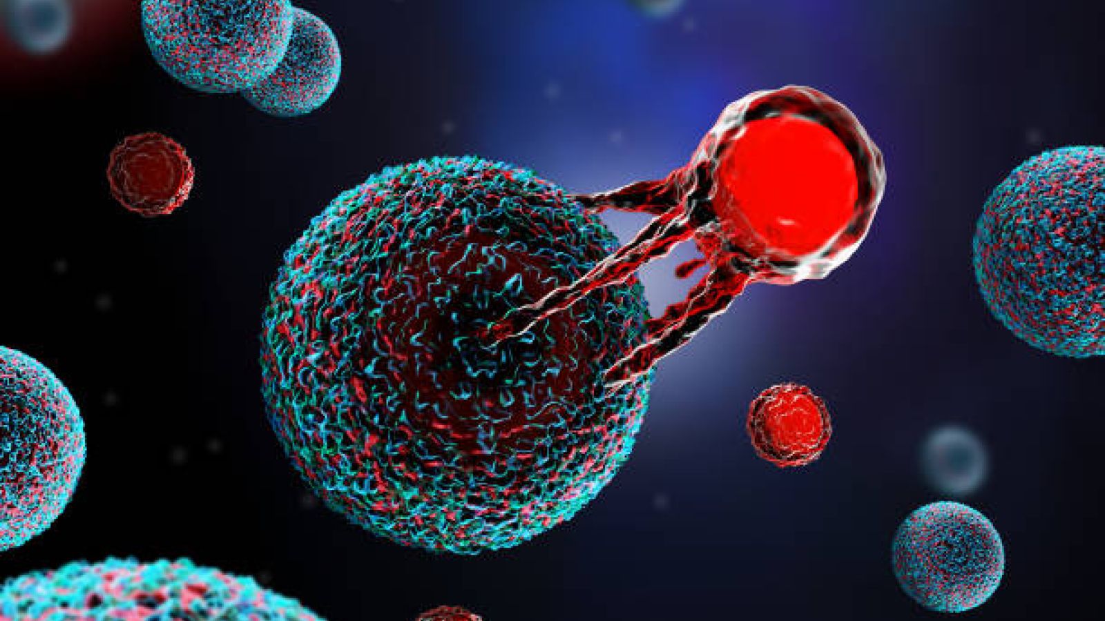 CAR T cell attacking a cancer cell