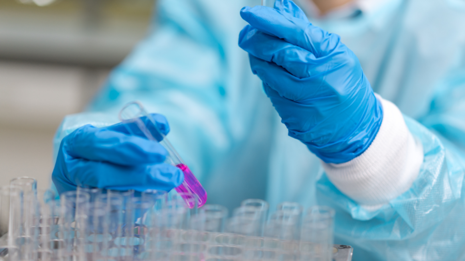 Phenotypic stability