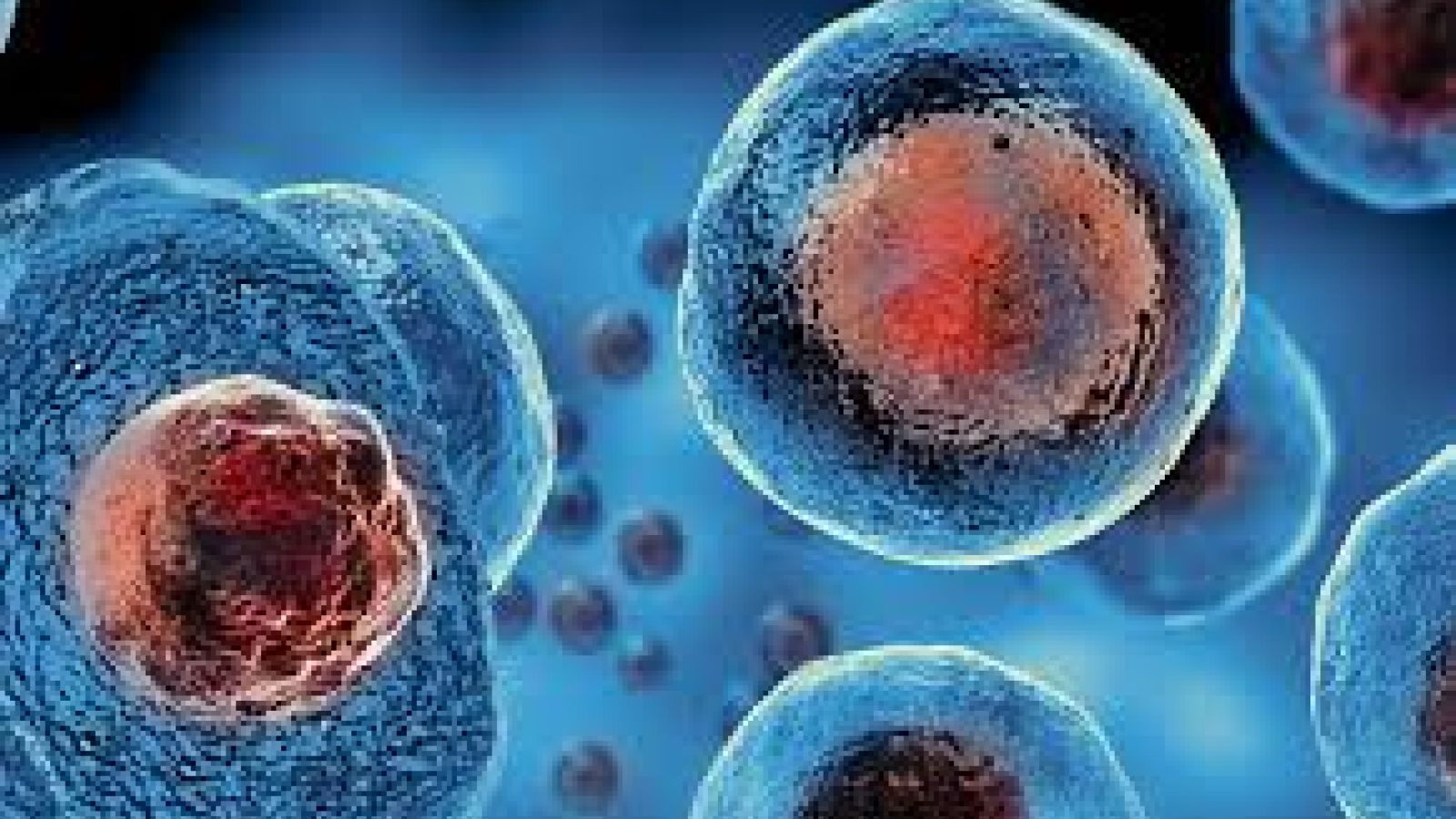 Off-the-Shelf Cell Therapies